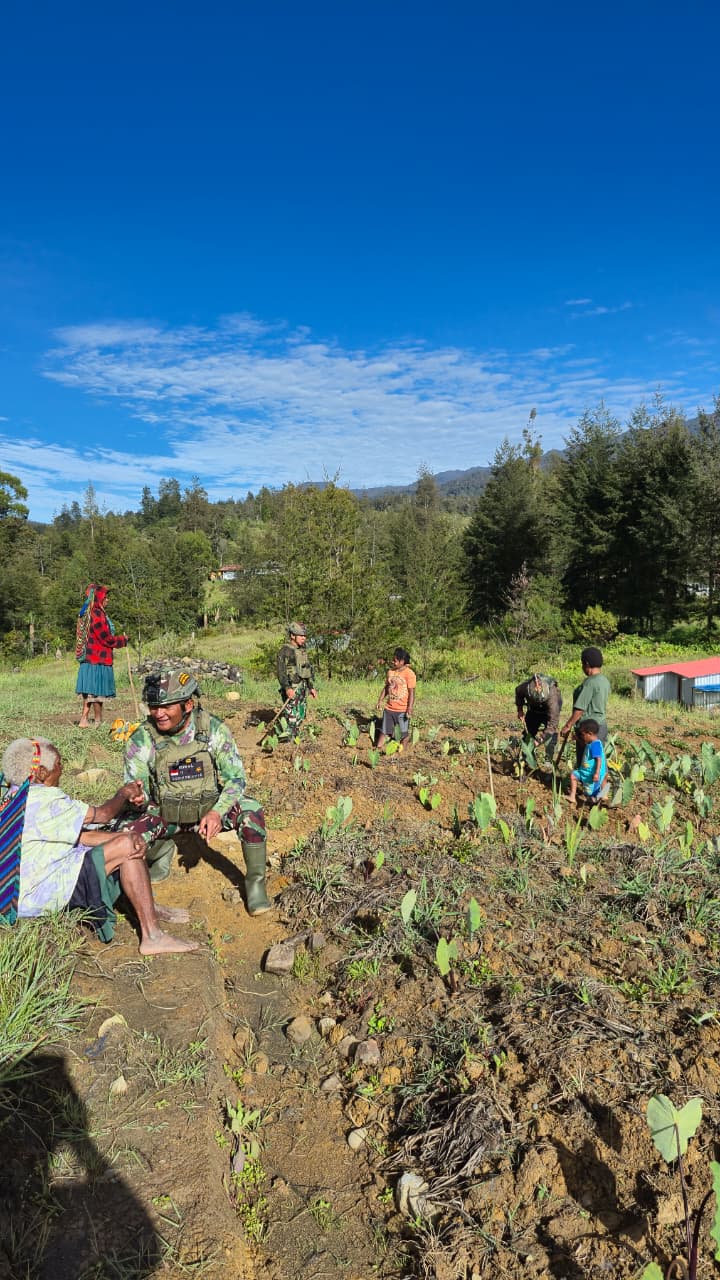 Satgas Yonif 700/WYC Ajak Warga Tanam Keladi, Wujud Nyata Kemanunggalan TNI dan Rakyat di Tanah Papua   