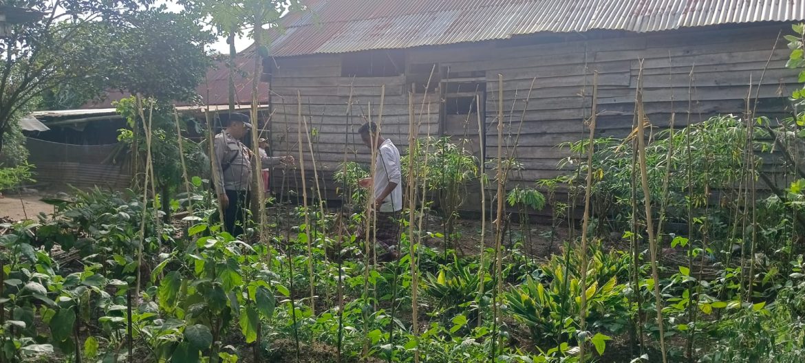 Bhabinkamtibmas Polres Banyuasin Wujudkan Ketahanan Pangan Melalui Perawatan Lahan Pertanian