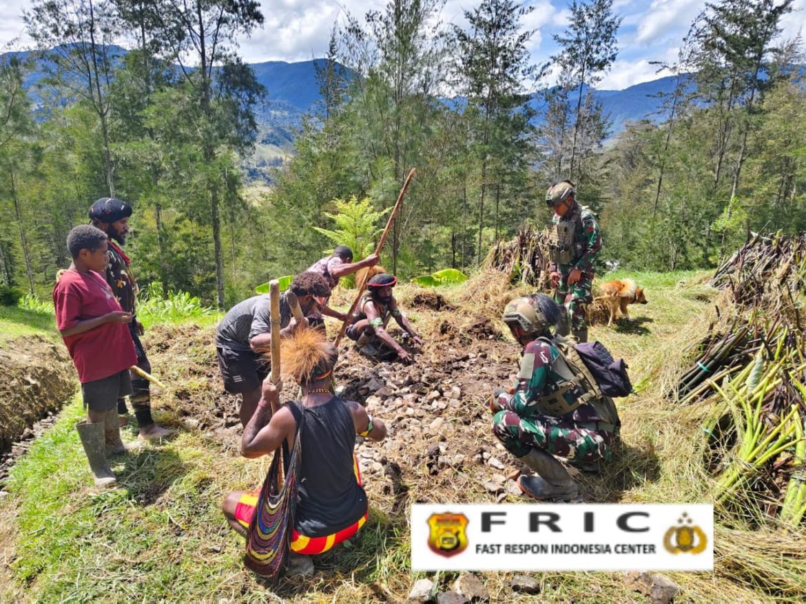 Satgas Yonif 700/WYC Bantu Warga Siapkan Acara Bakar Batu di Kampung Wuloni  Wujud Kedekatan TNI dengan Masyarakat Papua   