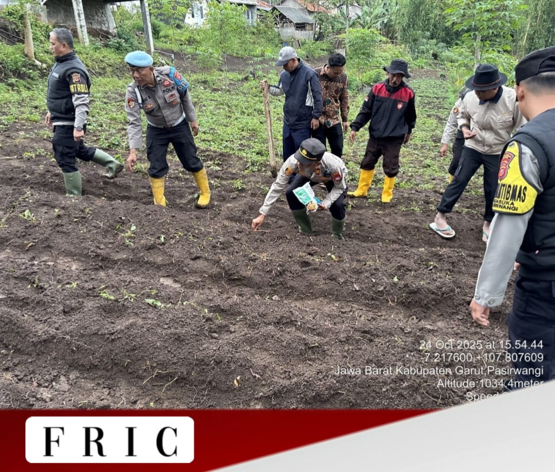 Dukung Ketahanan Pangan Nasional, Polsek Pasirwangi Gelar Penanaman Jagung Kuartal IV