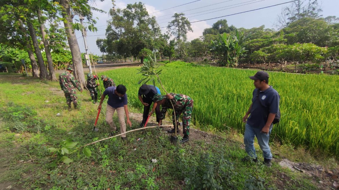 Menjaga Kelestarian Lingkungan Kodim Pemalang Bersama Pemda Tanam Pohon Sepanjang Jalan Gatot Subroto Kelurahan Bojongbata