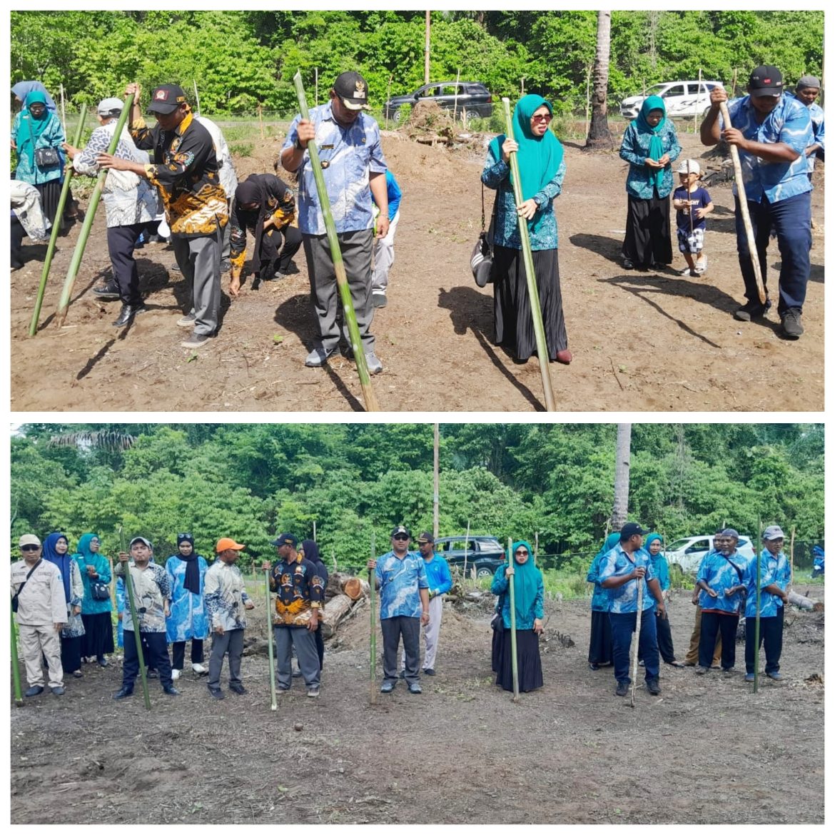 Dorong Ketahanan Pangan, Pemdes Matuting Lakukan Penanaman Jagung