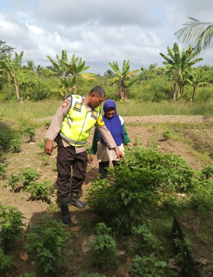 Bhabinkamtibmas Polsek Tanjung Lago Gerakkan Warga Desa Mulya Sari Dukung Swasembada Pangan