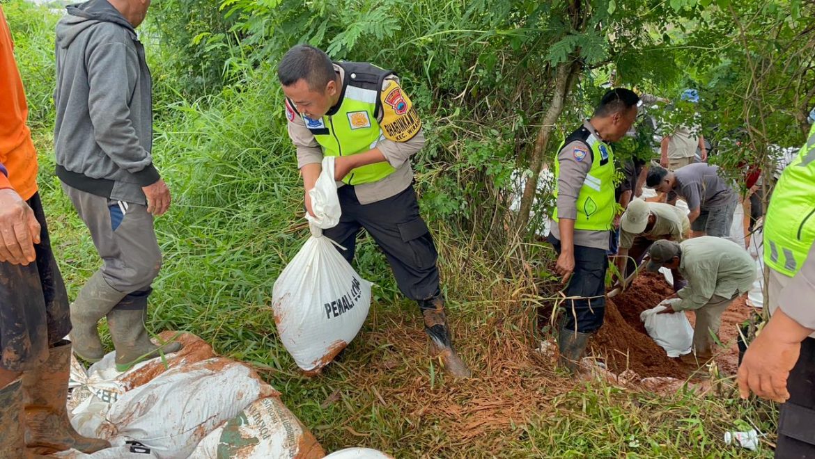 Polsek Wiradesa Pimpin Aksi Gotong Royong, Perkuat Tanggul Kritis Sungai di Wonokerto Bersama Warga