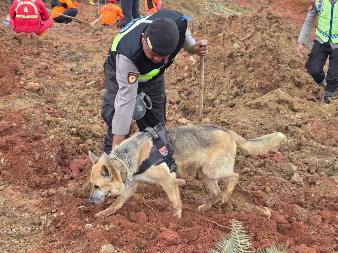 Polri Kerahkan Anjing Pelacak dalam Pencarian Korban Longsor Cilacap   