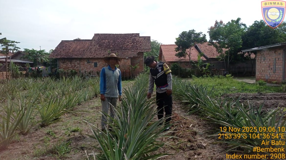 Bhabinkamtibmas Polsek Talang Kelapa Gerakkan Warga Dukung Swasembada Pangan Melalui Program P2B