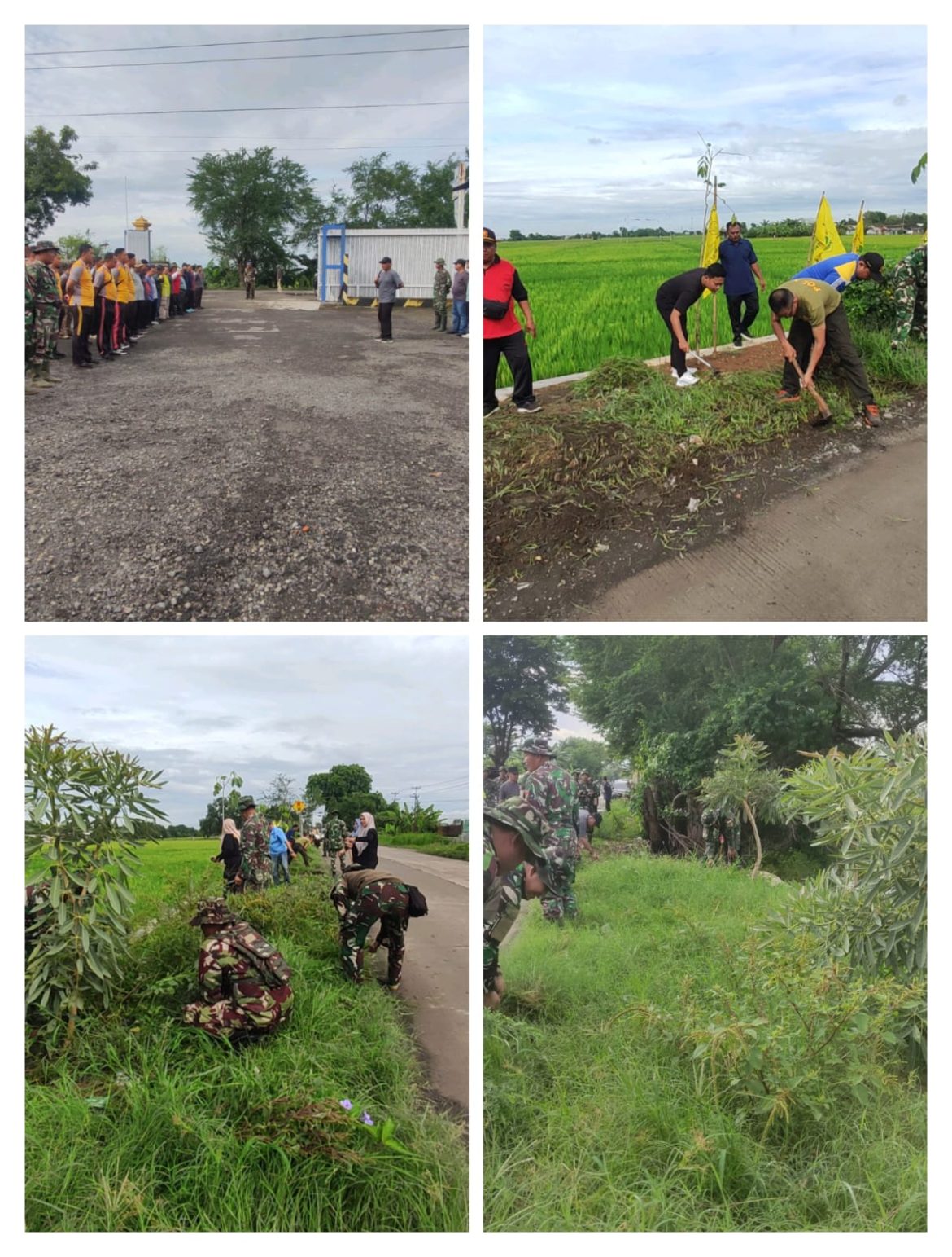 Gelar Kegiatan Sinergi Jumat Bersih Kodim Pemalang Bersama Forkopimda Menanam 70 Pohon Tabebuya