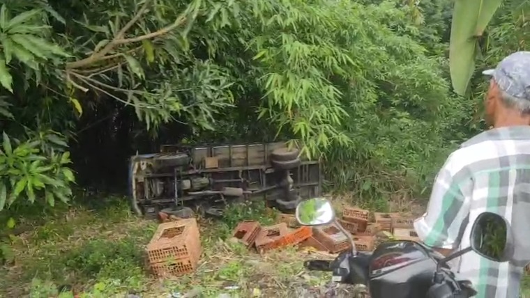 Pecah Ban, Mobil Pengangkut Ayam Masuk Jurang 10 Meter di Kesesi