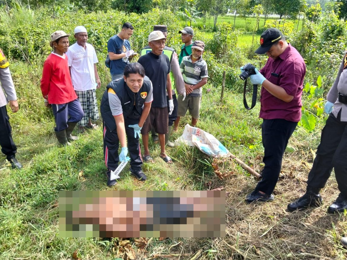 Hendak Melangsir Bibit, Buruh Ditemukan Meninggal Mendadak di Sawah Karanganyar