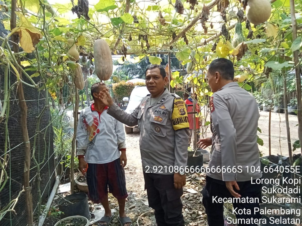 Bhabinkamtibmas Polsek Talang Kelapa Sosialisasikan Program P2B untuk Dukung Swasembada Pangan Nasional