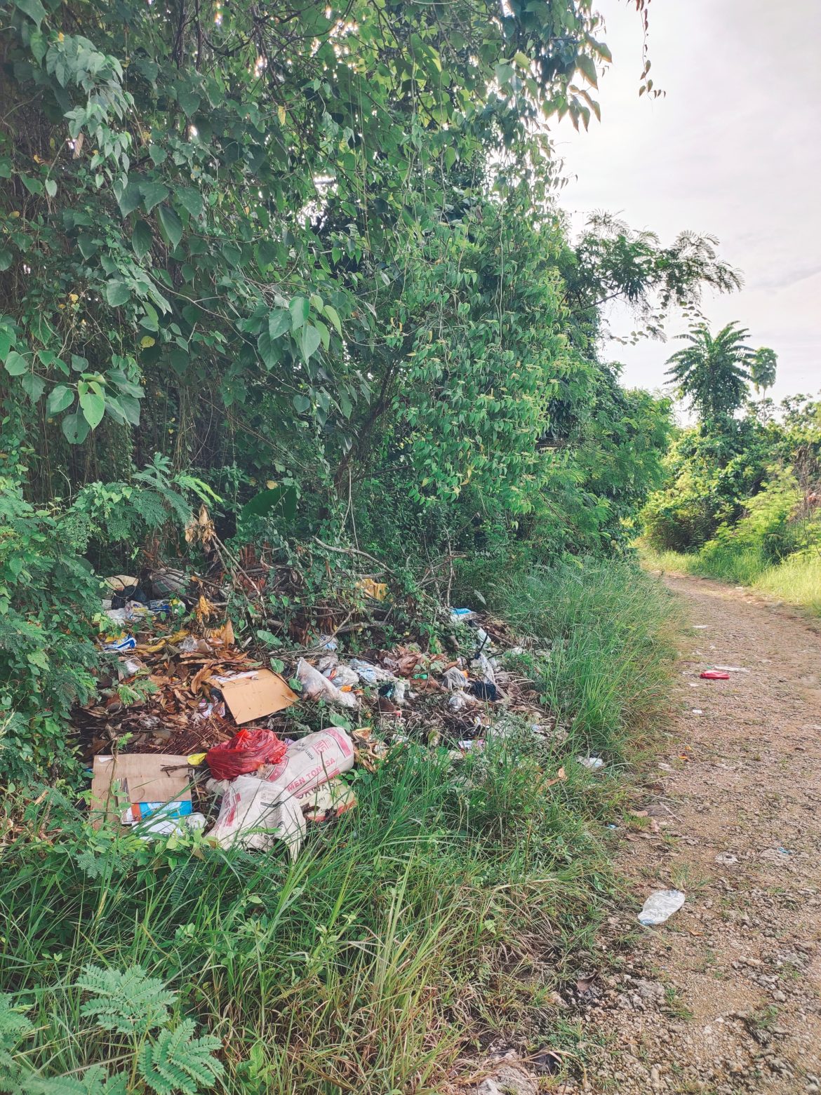 Darurat Sampah di Jalur Pertanian, Bau Menyengat Ganggu Aktivitas Petani Sangowo Barat