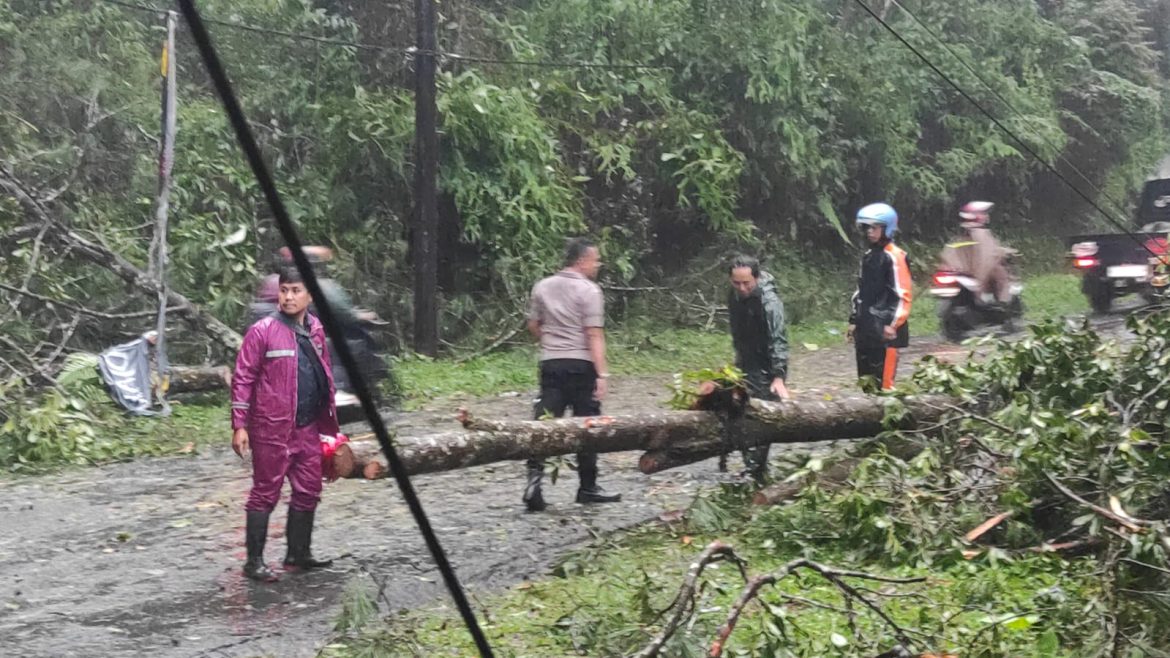 Jalur Pekalongan-Banjarnegara Terhambat Akibat Pohon Tumbang, Polisi Gercep Evakuasi Usai Terima Laporan 110