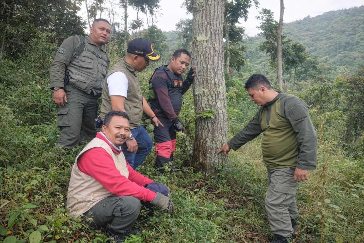 Perhutani KPH Bondowoso Laporkan Dugaan Pengrusakan Tegakan Hutan di Petak 6A3 ke Polres Situbondo