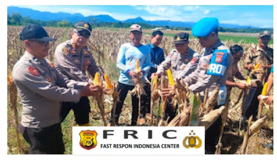 Polres Kuningan Kawal Panen Raya Jagung Hibrida Serentak Demi Wujudkan Swasembada Pangan Nasional