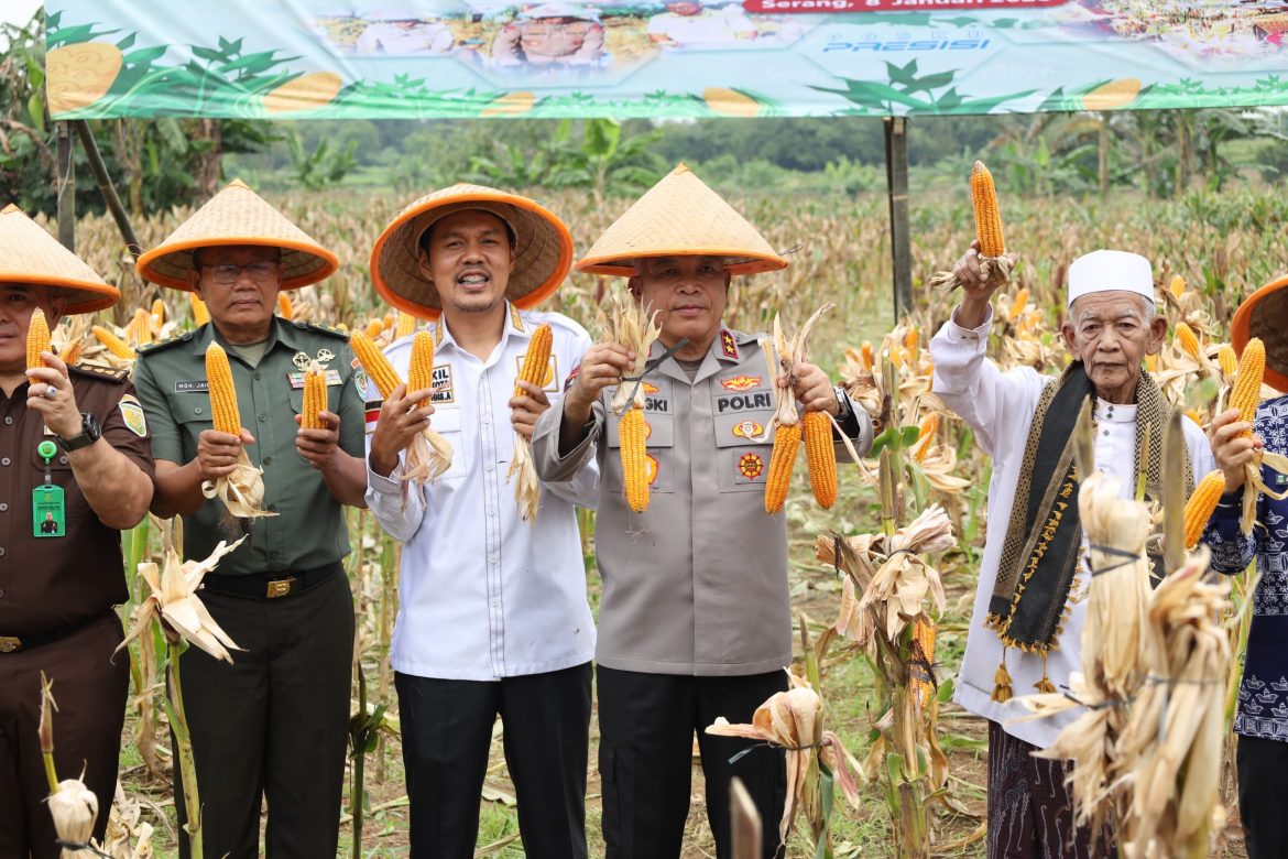 Panen Raya Jagung Serentak Kuartal IV 2025, Polda Banten Dukung Swasembada Pangan Nasional