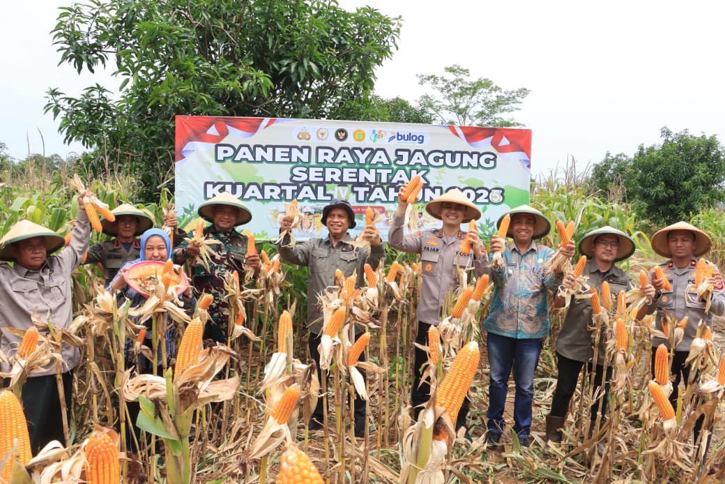 Dukung Swasembada Pangan Nasional, Polres Indramayu Turut Serta Panen Raya Jagung Serentak