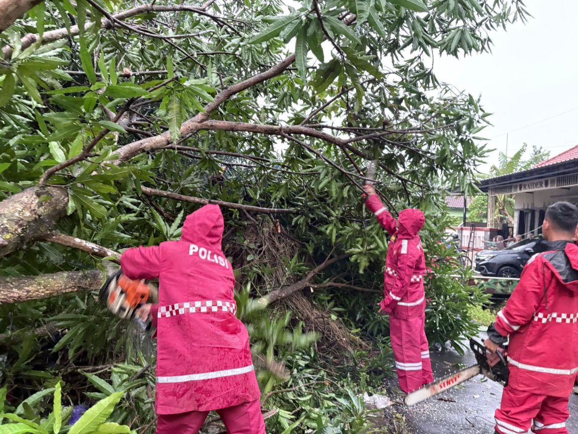 Sigap! Polres Pekalongan Terjunkan Tim Evakuasi ke Titik Puting Beliung dan Pohon Tumbang