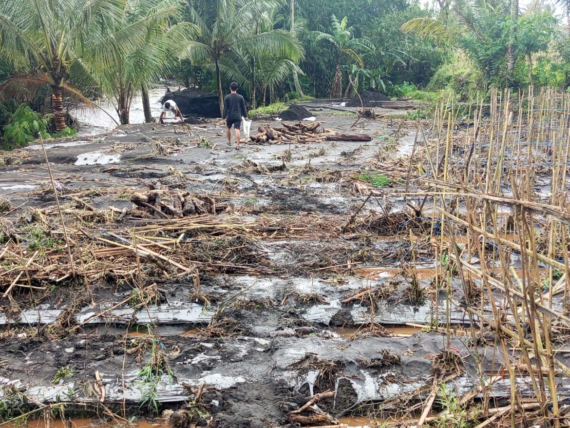 Warga Diminta Waspada, Banjir Bandang Terjang Sungai Paingan
