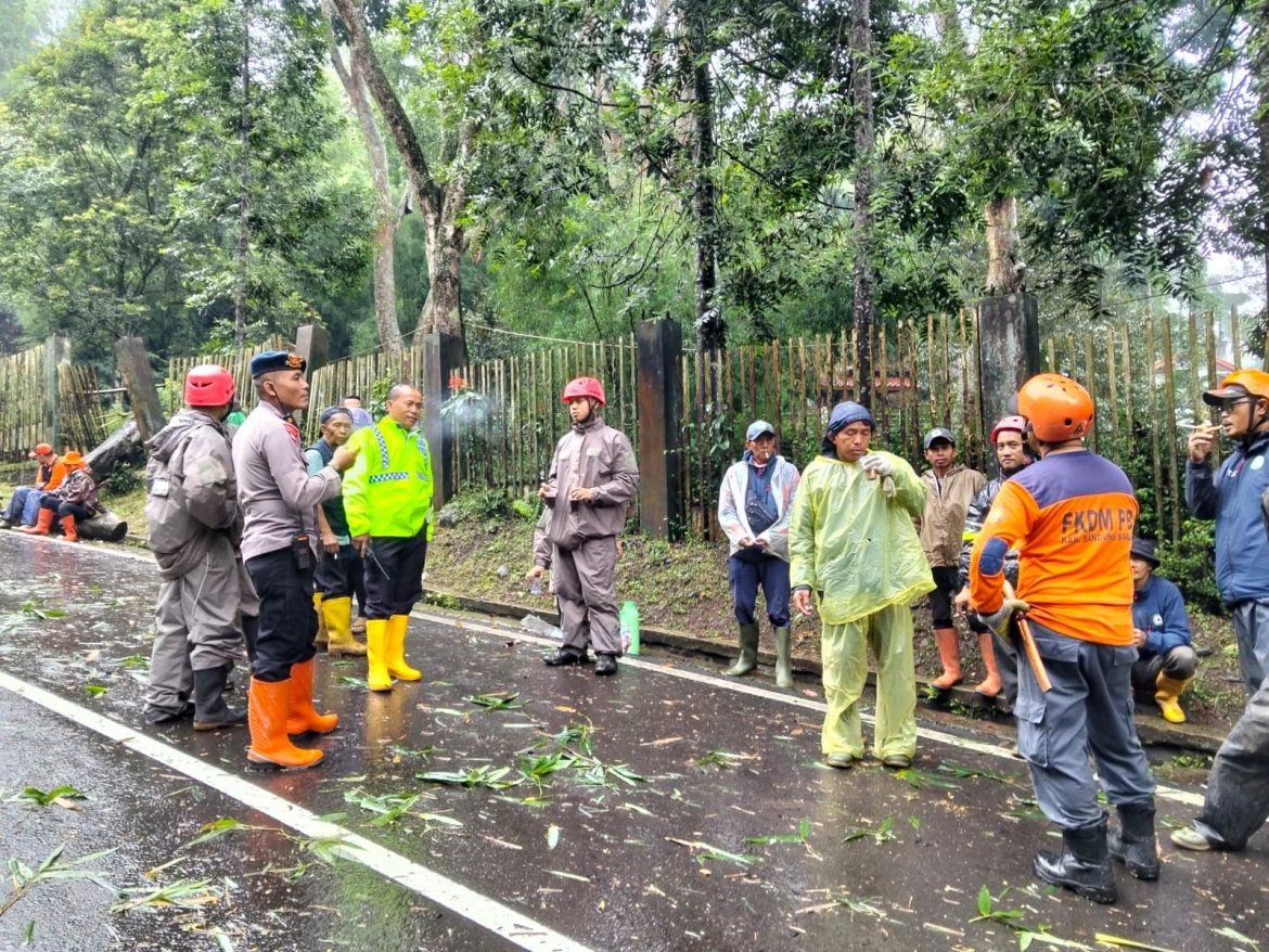 Tim SAR Batalyon B Pelopor Sat Brimob Polda Jabar Evakuasi Pohon Tumbang Akibat Cuaca Ekstrim di Lembang