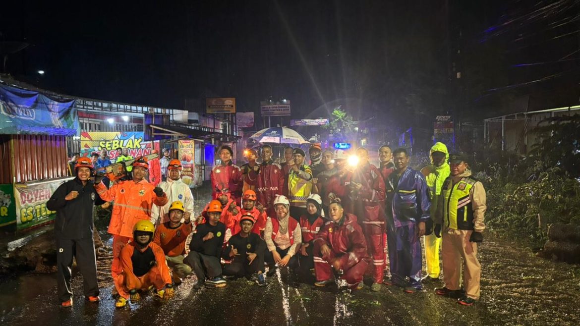 Pohon Tumbang Tutup Akses Wonopringgo-Sedayu, Tim Siaga Bhayangkara Polres Pekalongan Berjibaku Evakuasi di Tengah Hujan