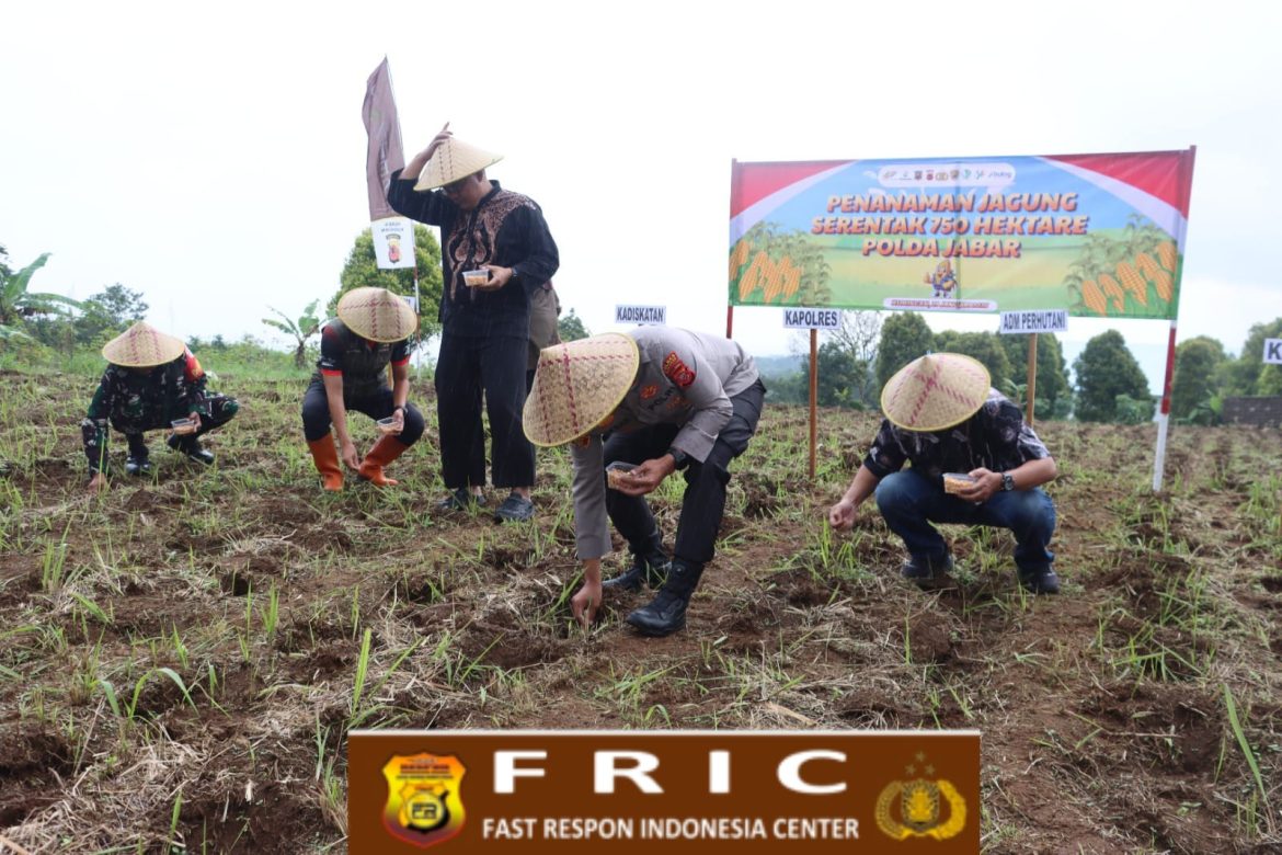 Perkuat Ketahanan Pangan, Kapolres Kuningan Pimpin Penanaman Jagung Serentak Kuartal I di Desa Gunung Keling