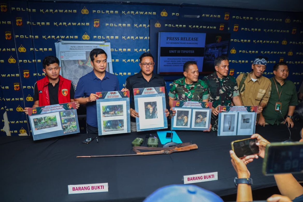 Penanganan Kasus Perburuan Macan Tutul Jawa di Gunung Sanggabuana Karawang